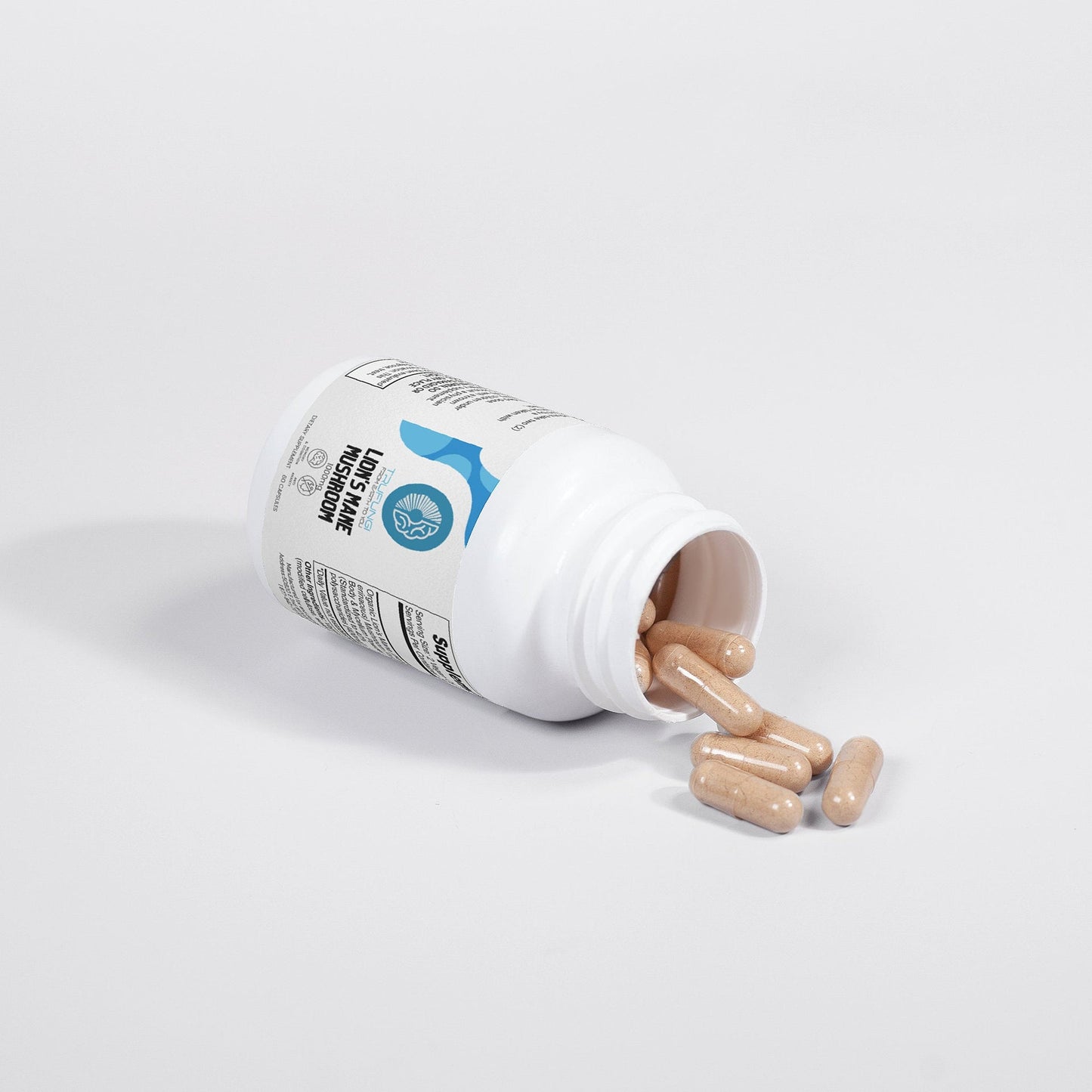 TRUFUNGI - Lion's Mane Mushroom